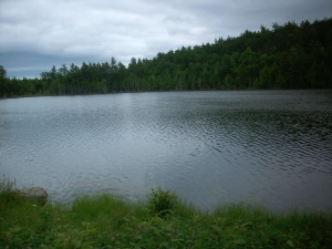 Beautiful lake
